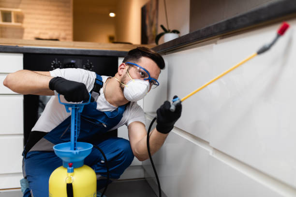 Trusted Browns Lake, WI Pest Control Experts