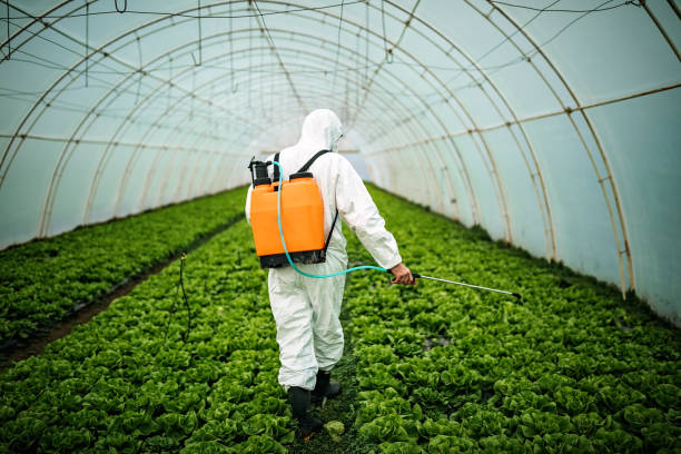 Best Commercial Pest Control Services  in Browns Lake, WI