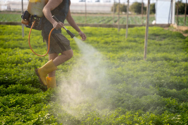 Best Affordable Pest Control Services  in Browns Lake, WI